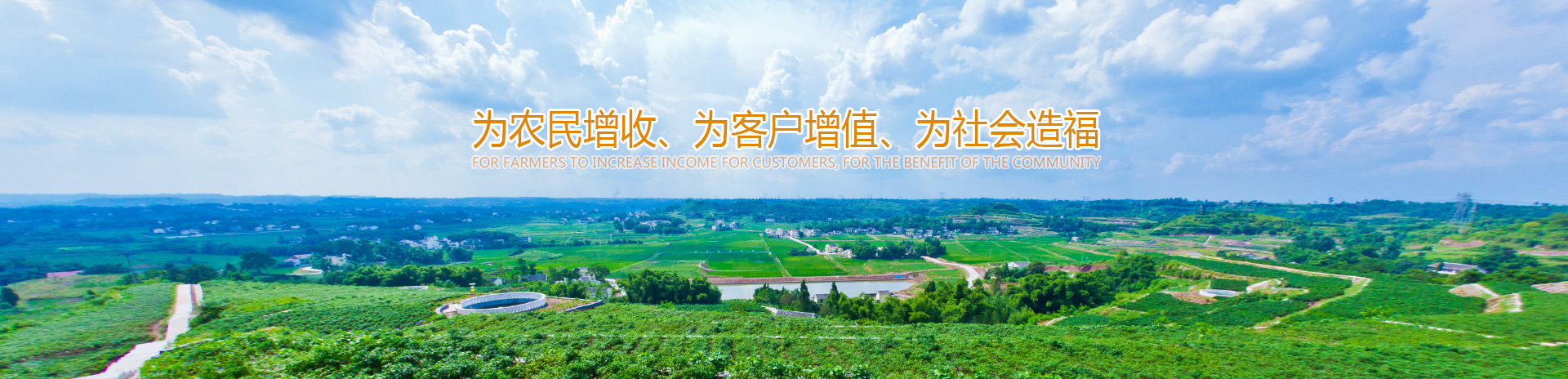 这是描述信息 这是描述信息
